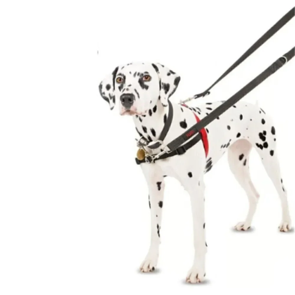 Halti Control Dog Harness Black/Red Size M Adjustable